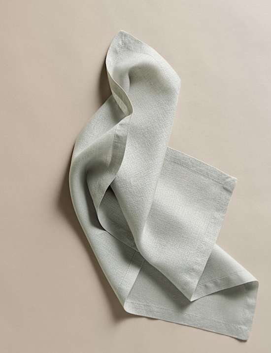Set of 2 Pure Linen Napkins