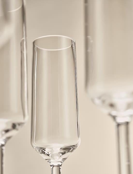 Set of 4 Angular Picnic Champagne Flutes