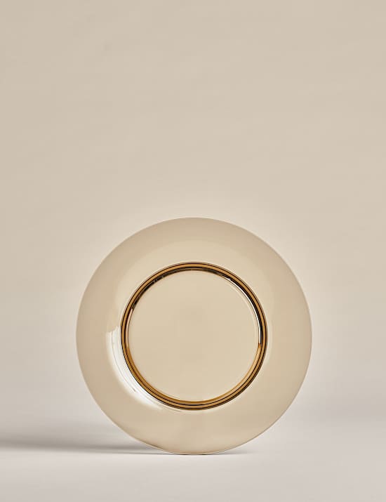 סט 4 צלחות פיקניק גדולות