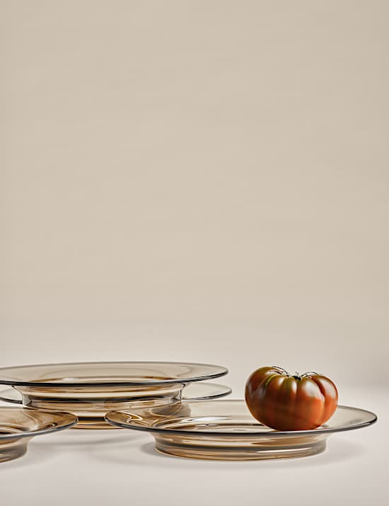 סט 4 צלחות פיקניק גדולות