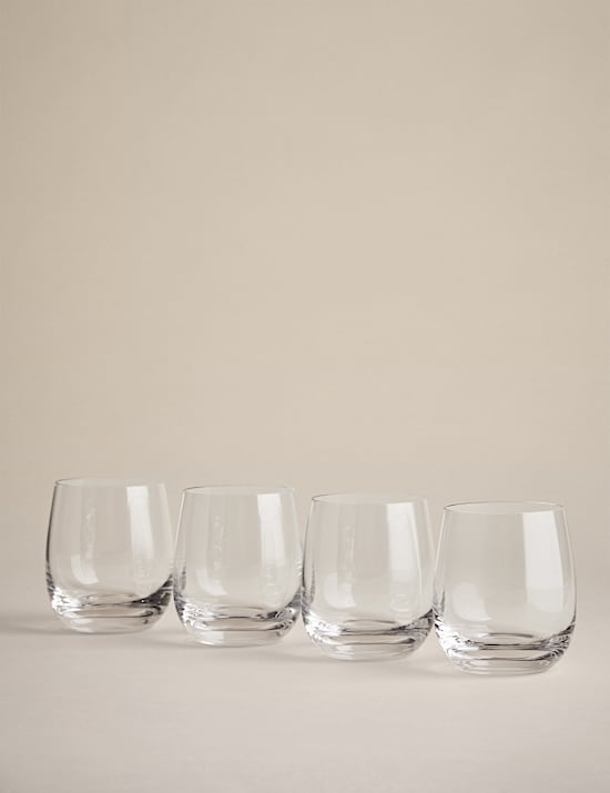 Set of 4 Maxim Tumblers