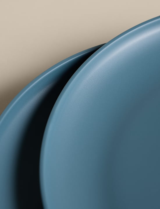 Lot de 4 grandes assiettes pour pique-nique