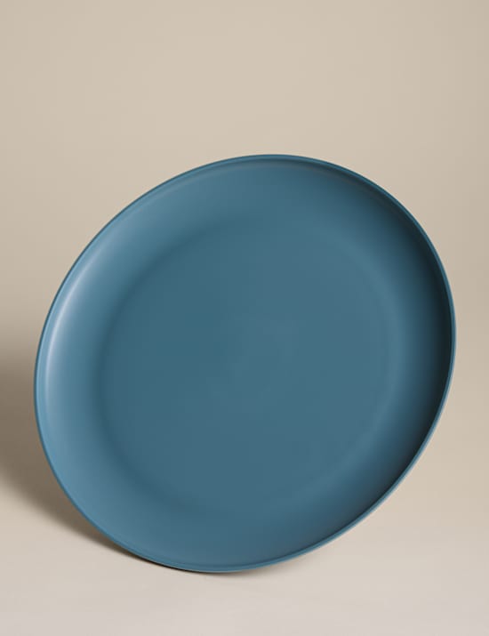 Lot de 4 grandes assiettes pour pique-nique