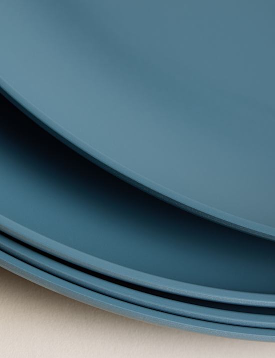 Lot de 4 grandes assiettes pour pique-nique