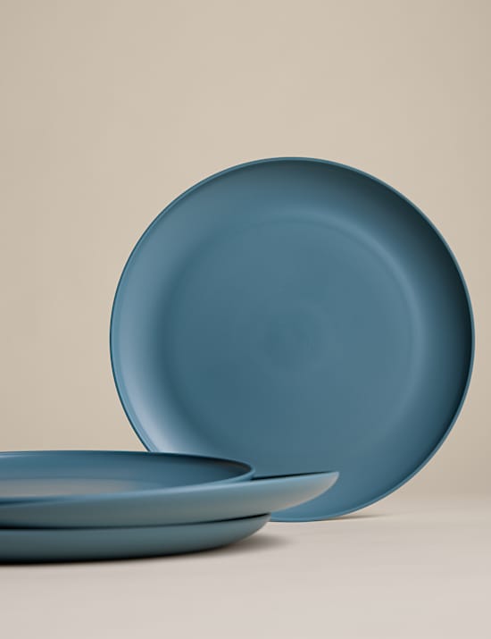 Lot de 4 grandes assiettes pour pique-nique