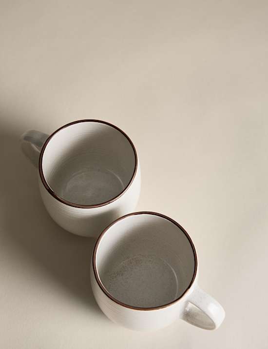 Set of 4 Michigan Mugs