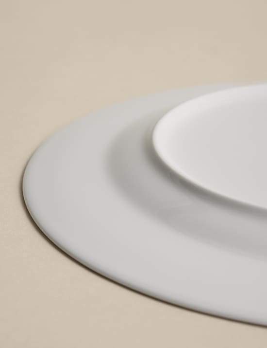 Zebra Rim Dinner Plate