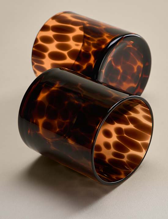 Set of 2 Speckle Tumblers