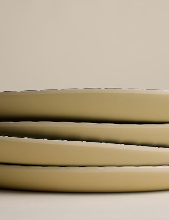 Set of 4 Picnic Dinner Plates