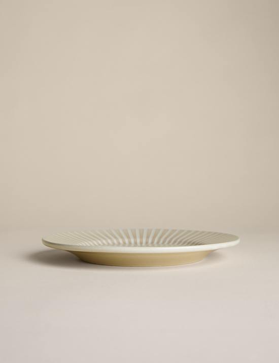 Reactive Stripe Side Plate