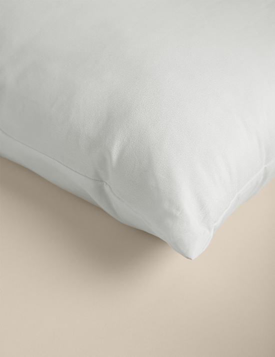 2pk Anti Allergy Plus Soft Pillows