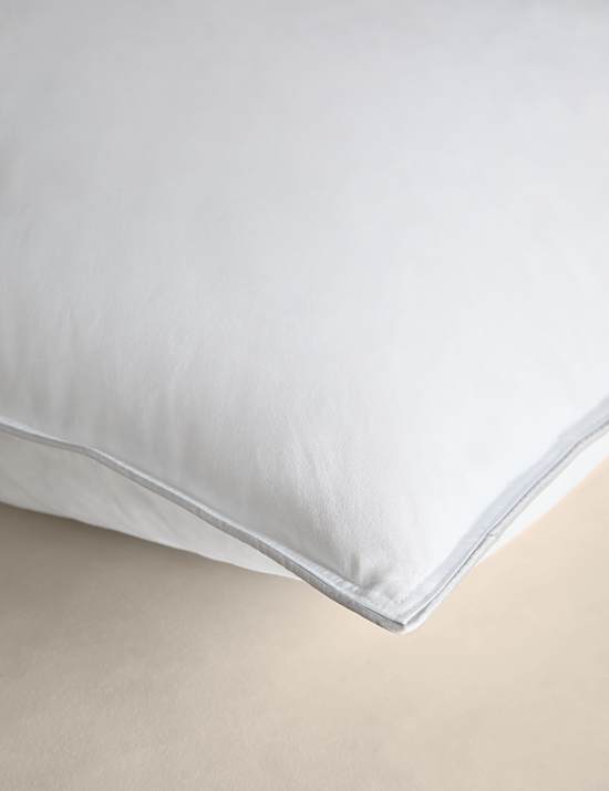 2pk Deluxe Hungarian Goose Feather & Down Medium Pillows