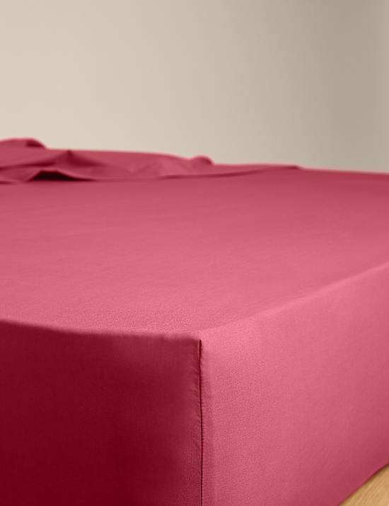Egyptian Cotton 230 Thread Count Fitted Sheet