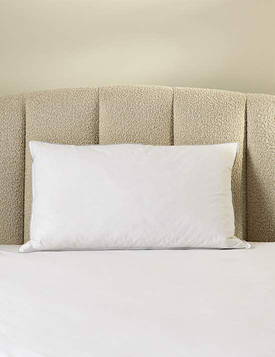 2pk Deluxe Hungarian Goose Feather & Down Soft Pillows