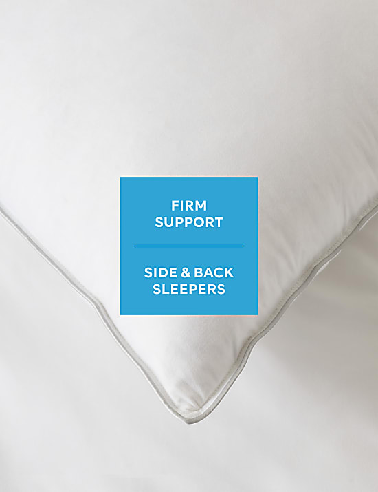 2pk Deluxe Hungarian Goose Feather & Down Firm Pillows