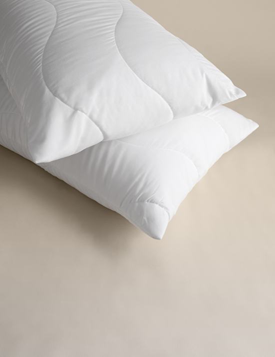 Chytr&eacute; protialergick&eacute; chr&aacute;niče pol&scaron;t&aacute;řů pro pran&iacute; a su&scaron;en&iacute;, 2 ks