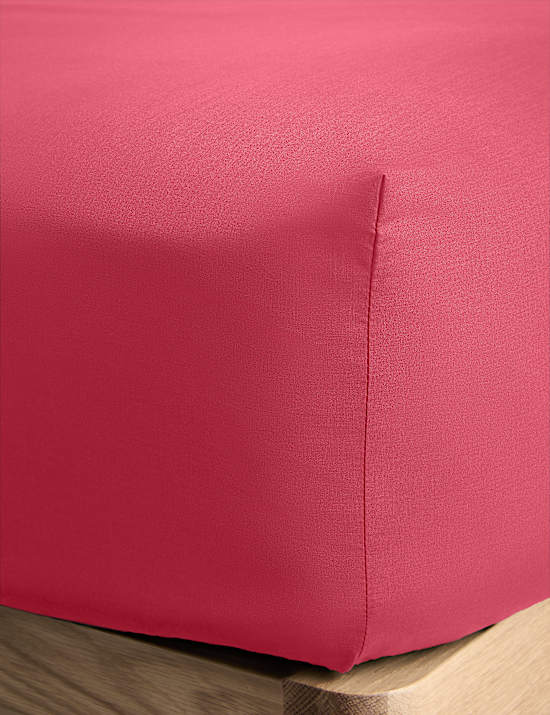 Cotton Rich Fitted Sheet
