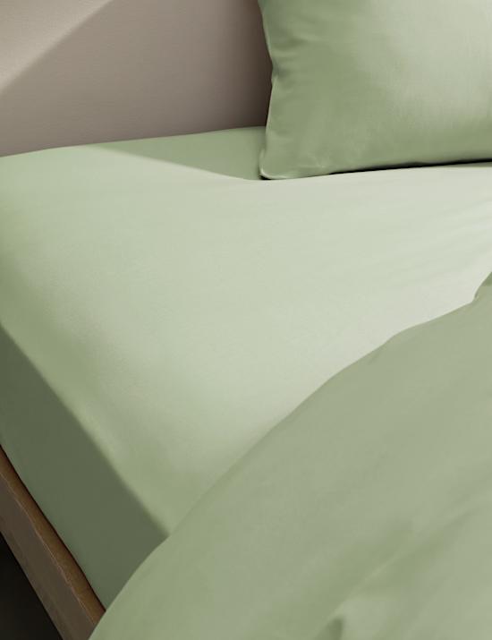 Cotton Rich Fitted Sheet