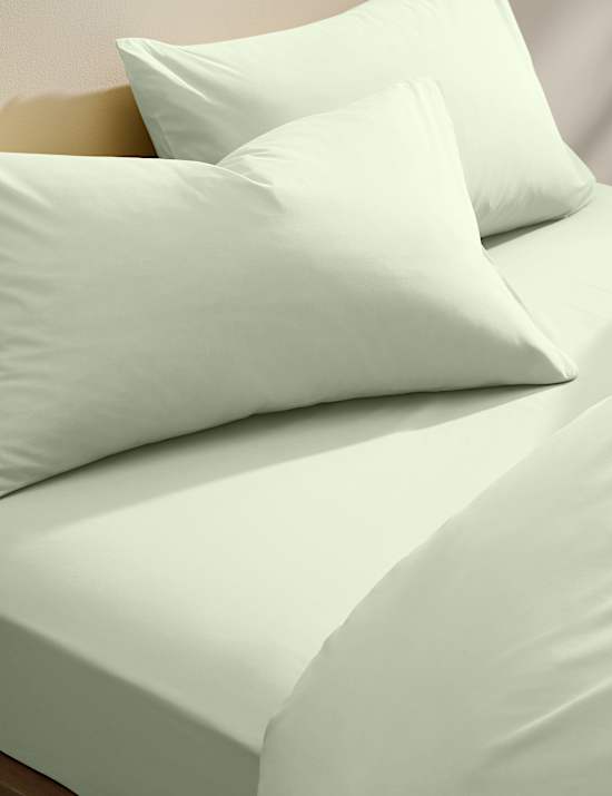 2 Pack Cotton Rich Pillowcases