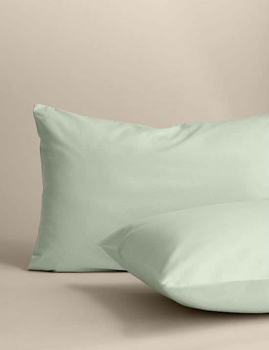 2 Pack Cotton Rich Pillowcases