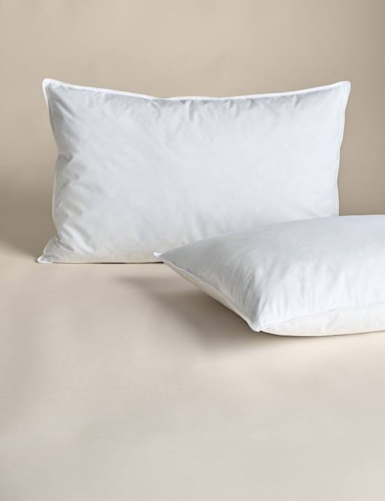 2pk Goose Feather & Down Soft Pillows