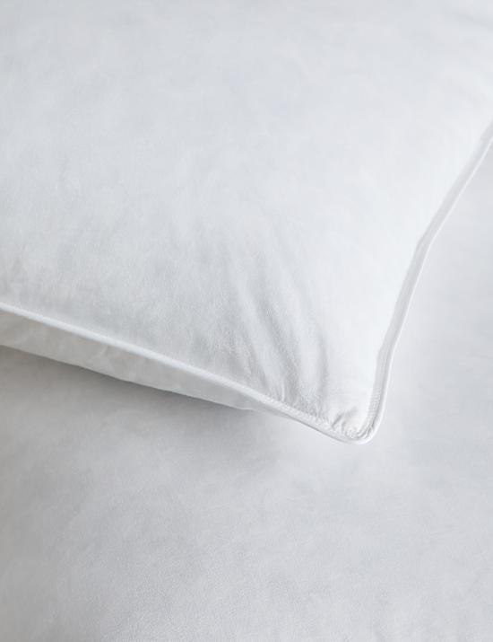 2pk Goose Feather & Down Soft Pillows
