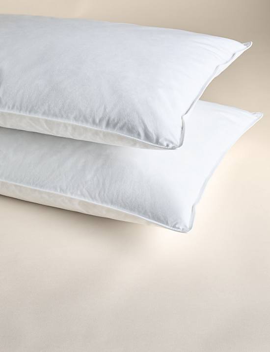 2pk Goose Feather & Down Soft Pillows