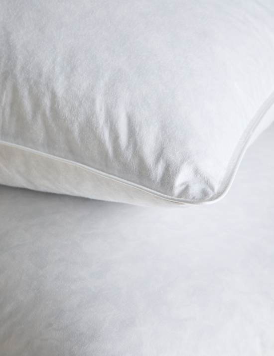2pk Goose Feather & Down Firm Pillows