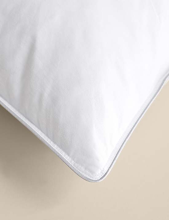 2 Pack Down Rich Soft Pillows