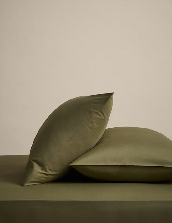 2 Pack Cotton Rich Pillowcases