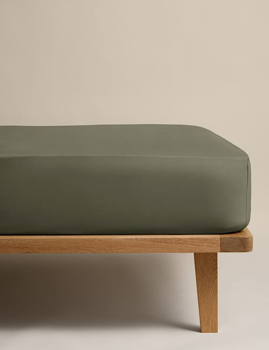 Egyptian Cotton 230 Thread Count StayPut Fitted Sheet