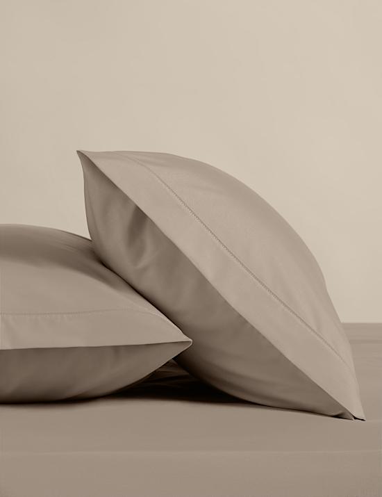 2 Pack Egyptian Cotton Pillowcases
