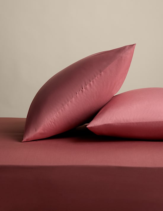 2 Pack Egyptian Cotton Pillowcases