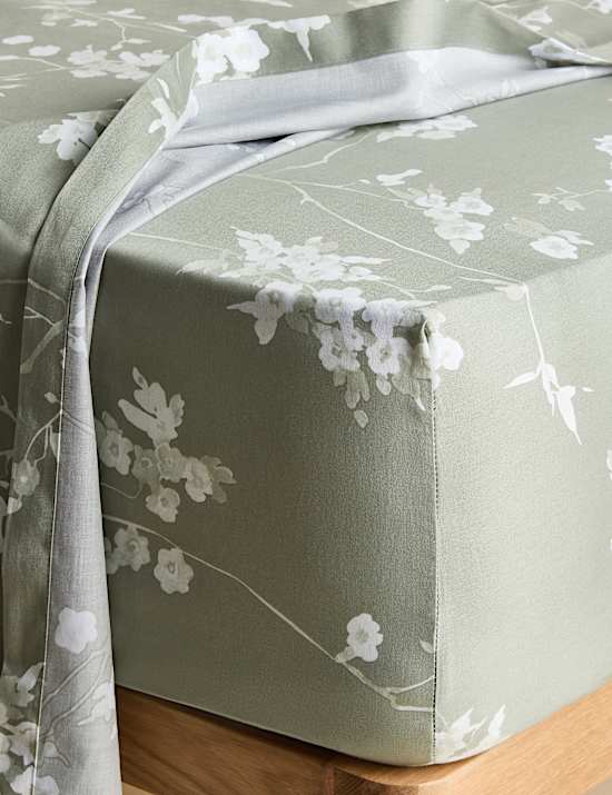 Pure Cotton Sateen Cherry Blossom Deep Fitted Sheet