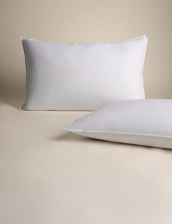 2pk Duck Feather & Down Firm Pillows