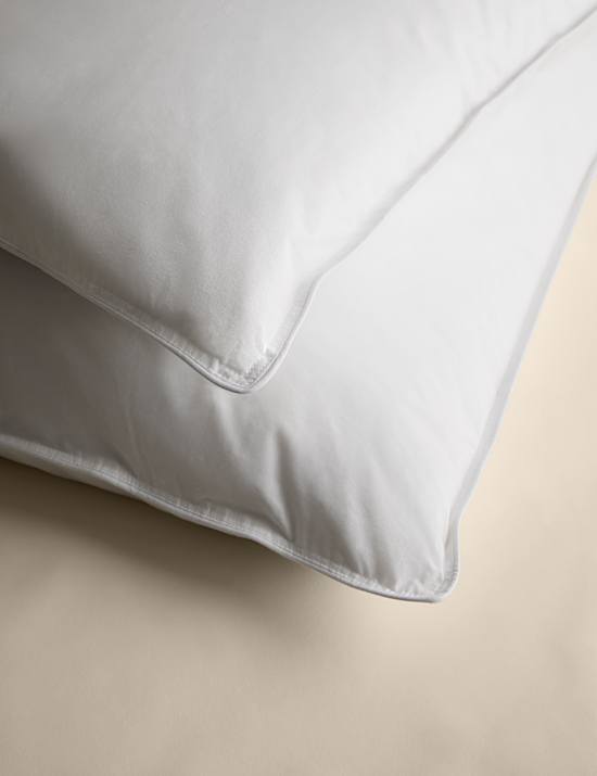 2pk Duck Feather & Down Soft Pillows