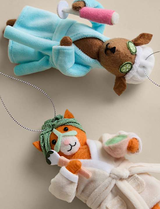 2 Pack Felt Pampered Pet Hanging Decorations