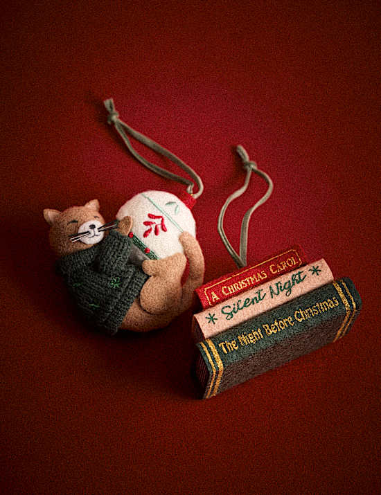 2 Pack Felt Cat and Festive Books Hanging Decorations