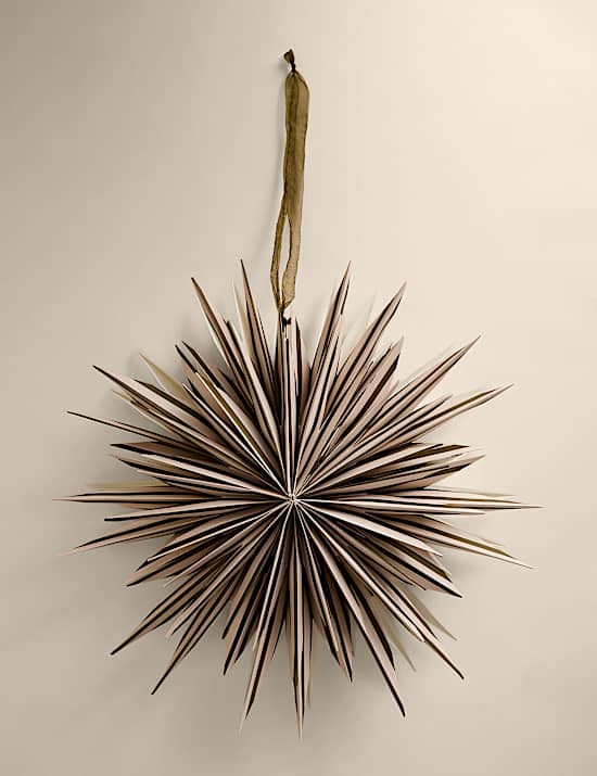 Paper Striped Star Room Decoration