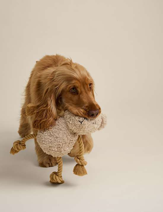 Spencer Bear™ Seilspielzeug für Hunde