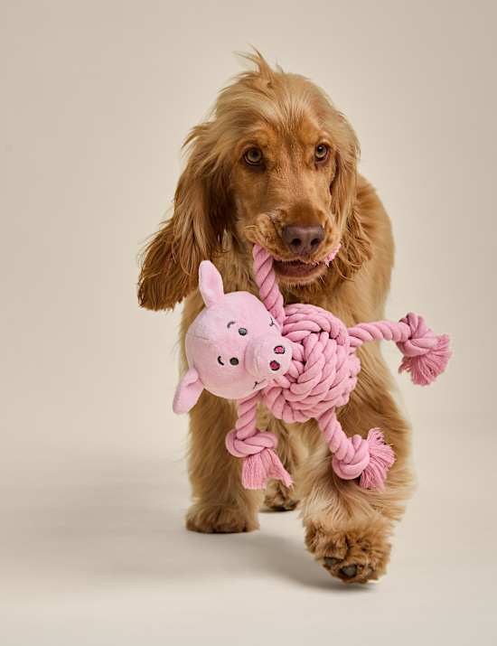 Percy Pig™ als Haustierspielzeug