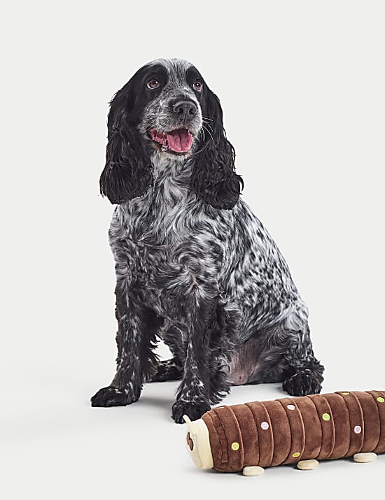 Colin the Caterpillar™ Pet Toy