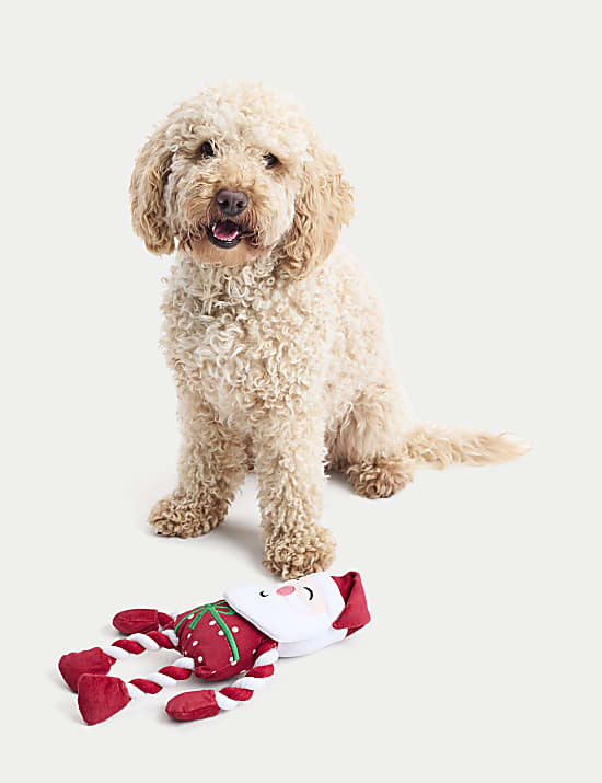 Santa Rope Pet Toy