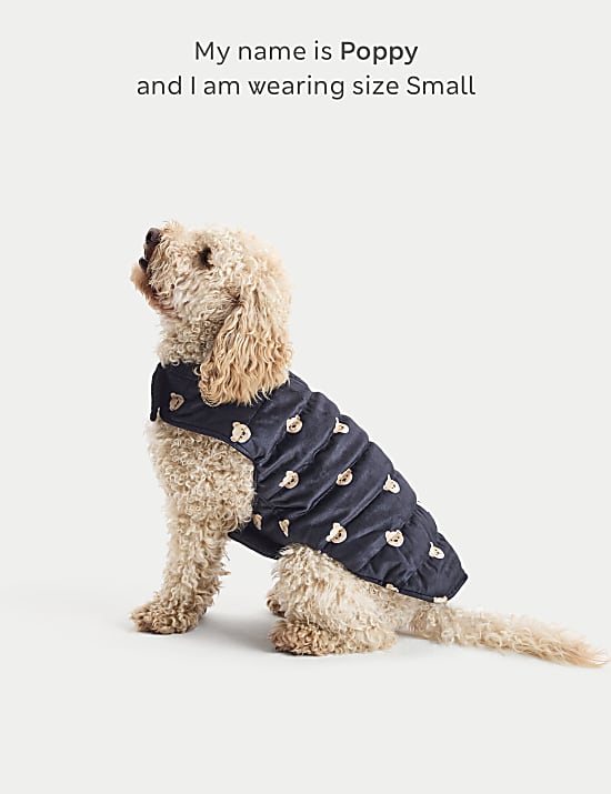Spencer Bear&trade; Jumper For Pets