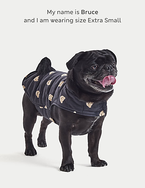 Spencer Bear&trade; Jumper For Pets