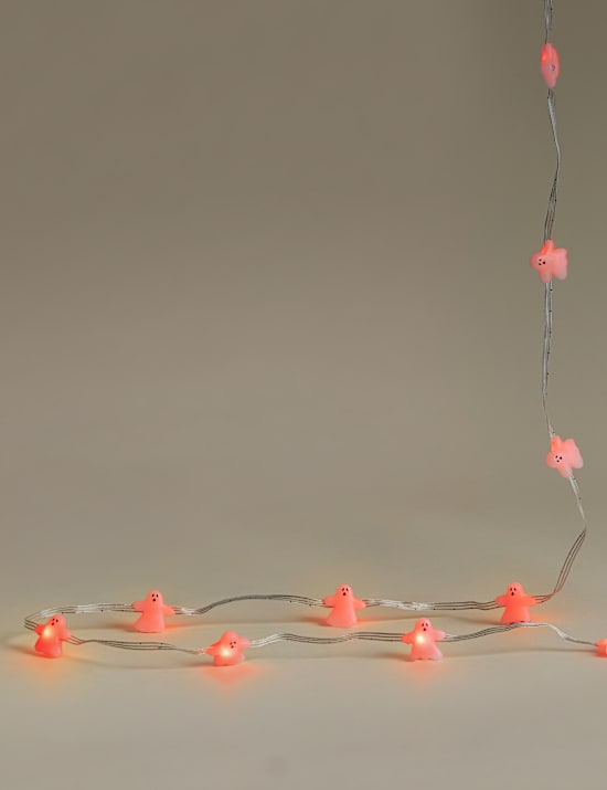 Halloween Ghost 20 LED String Lights