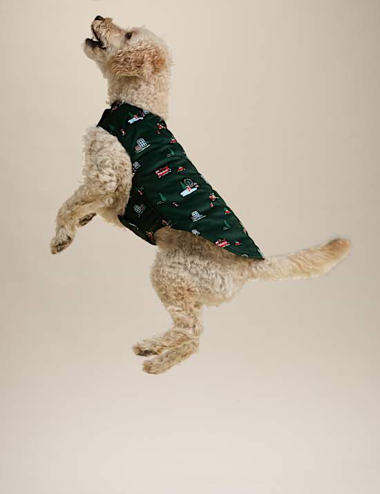 Spencer Bear&trade; Dog Jumper