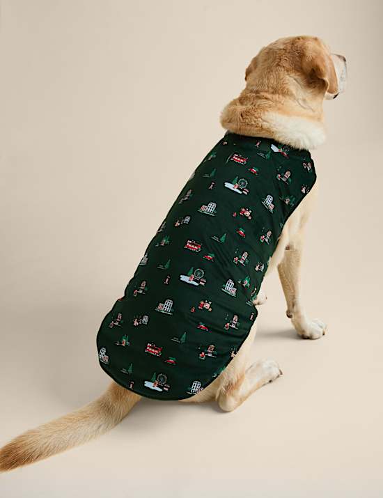 Spencer Bear&trade; Dog Jumper