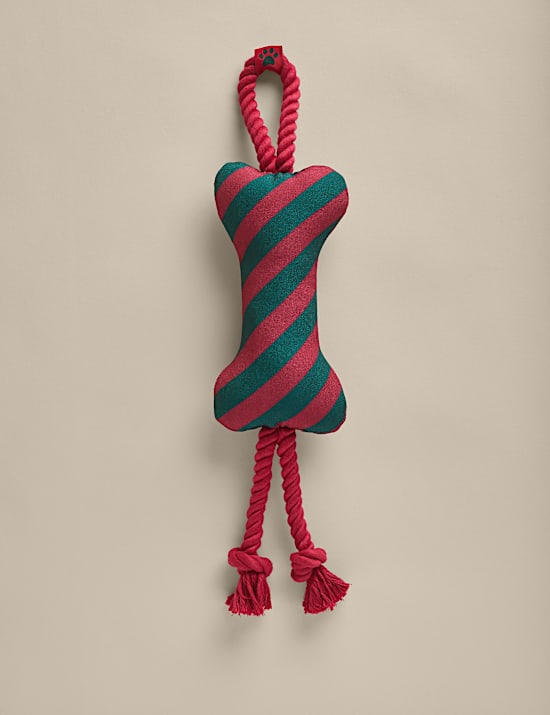 Striped Bone Dog Toy