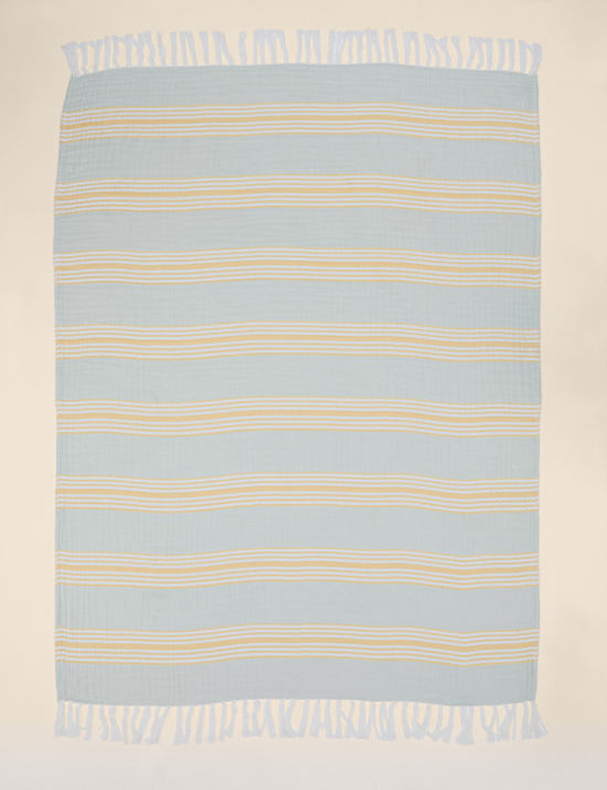 כרבולית פסים גדולה מכותנה טהורה